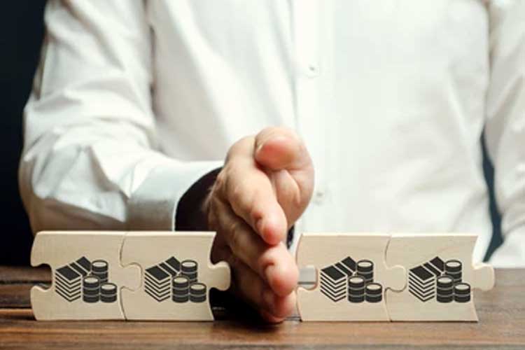 Expert Partition Advisory by SWIIS NRI Services